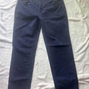 Banana Republic Deep Blue Trousers